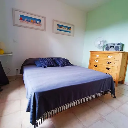Villa Belle Climatisee Avec Piscine Au Lavandou - Fr-1-308-200 Le Lavandou